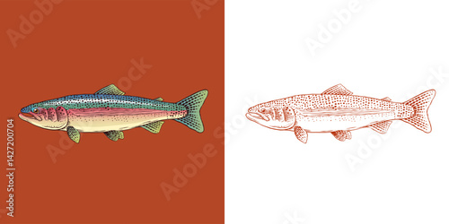 Rainbow trout collection with fish package and chunk of meat.River fishing elements and filet, salmon or other sea food fishing tackle and hook, bobber 