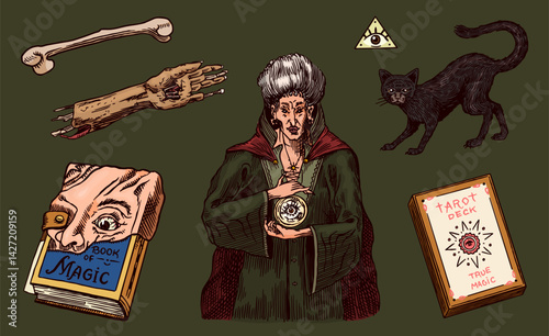 Big collection of wizardry elements for magic rituals or tarot deck, book, cat hand Witch with stone of prediction. Halloween witchcraft and sorcery things magician and voodoo hand drawn engraved 