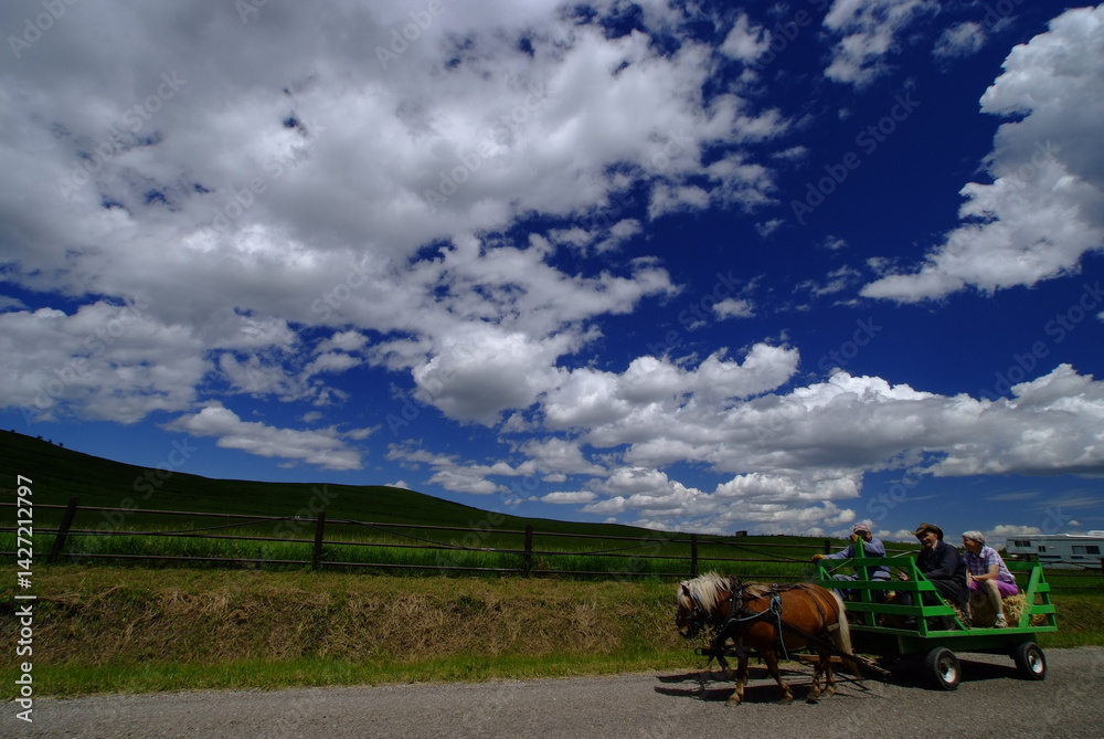 Fototapeta premium clouds over the field, nature, summer