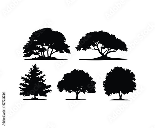 Ash Tree Silhouette Collection Template