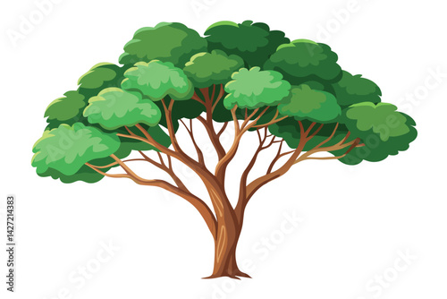 Illustration of Eucalyptus tree isolated on white.