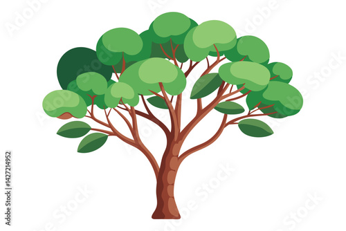Illustration of Eucalyptus tree isolated on white.