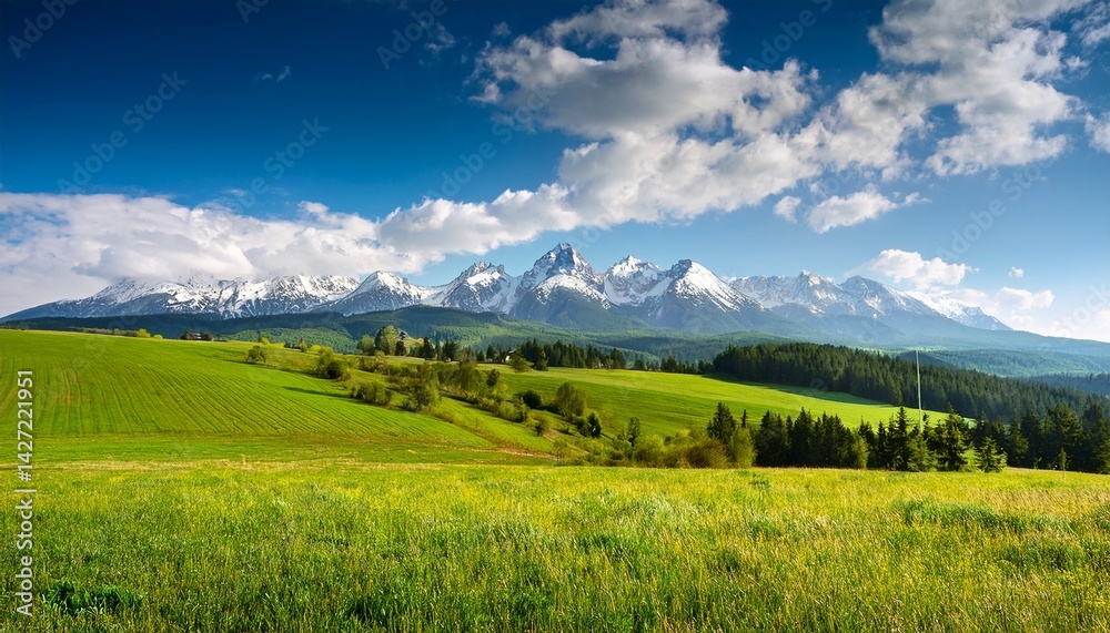 Fototapeta premium slovakia countryside landscape in spring gorgeous high tatra mountain ridge with snow capped peaks in the distance grassy rural fields on a sunny day with clouds on a blue sky