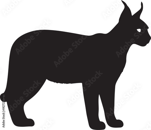 Caracal wildcat vector silhouette on white background