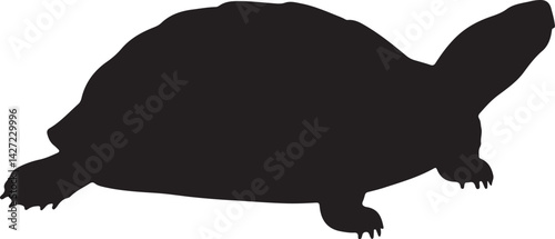 Chinese pond turtle vector silhouette on white background