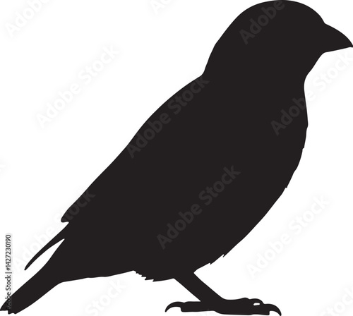 Cowbird vector silhouette on white background