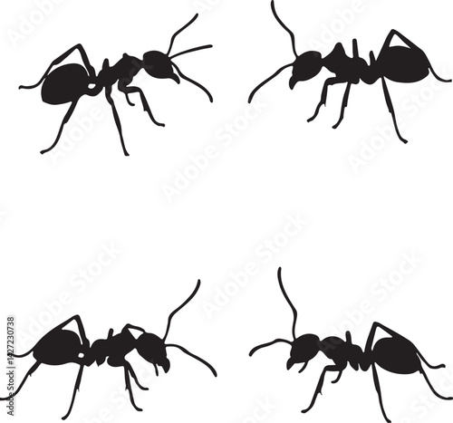 set of ants
