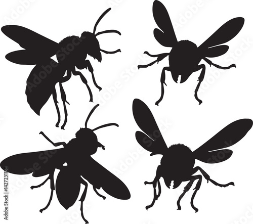 Hornet Silhouette