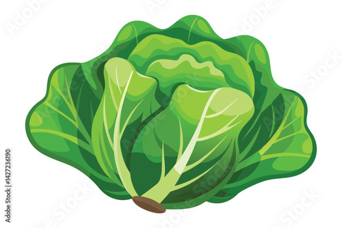 Illustration of Romaine lettuce on white.