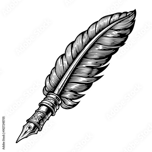 quill pen sketch engraving black and white outline. Scratch board imitation.