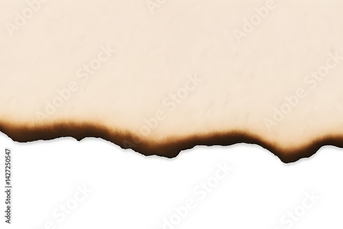 Burnt Paper Edge Background with Dark Burn Marks