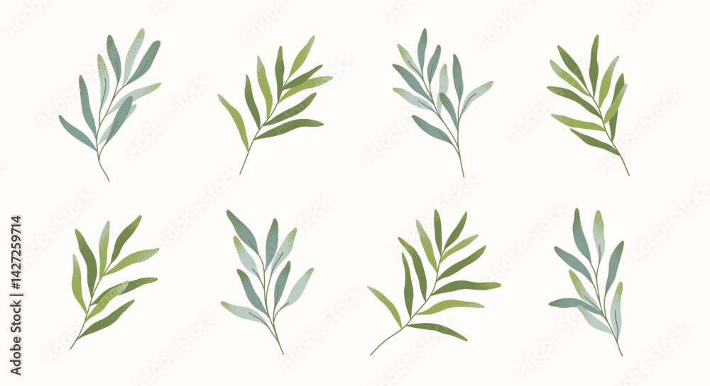 Green branches with leaves vector set.Botany emblem design elements.Hand drawn floral spring or summer illustrations for prints,flyers,banners,wedding,invitations,branding design,clipart.