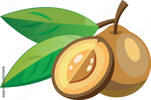 A vibrant vector art illustration of a delicious satsuma fruit, showcasing juicy segments and lush leaves in a fresh, colorful style.