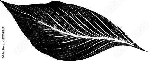 Engraved illustration of stylised leaf with bold black lines for artistic design
