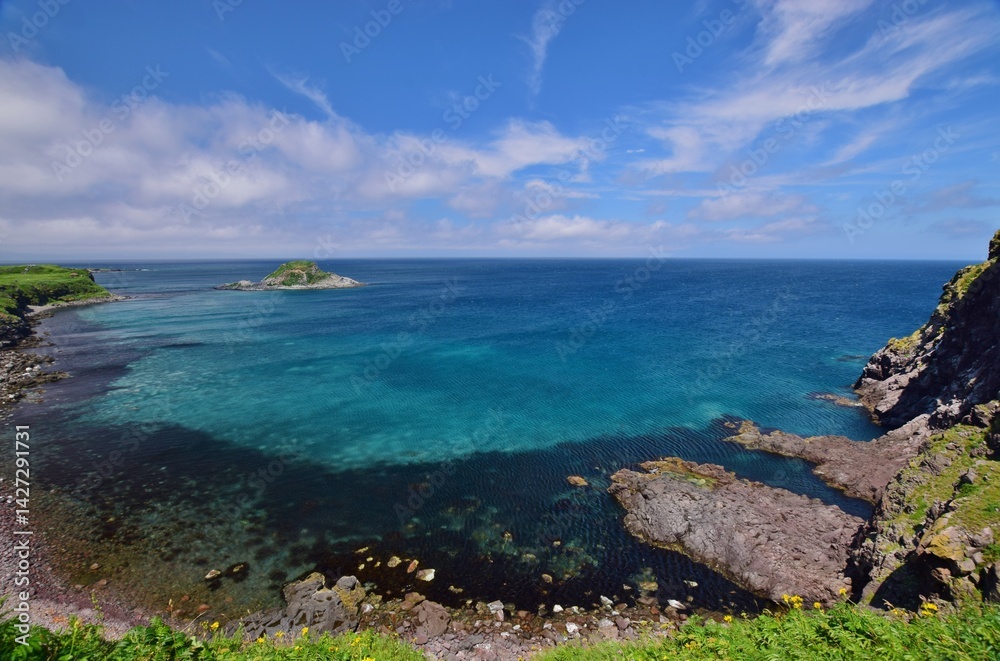 Fototapeta premium 利尻島の夏景色