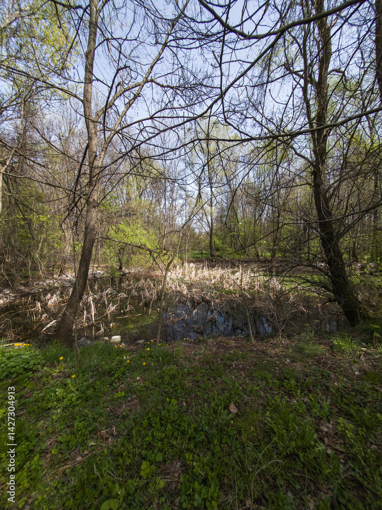 Spring Landscape of South Park in city of Sofia, Bulgaria