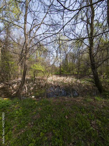 Obraz na płótnie Spring Landscape of South Park in city of Sofia, Bulgaria w salonie
