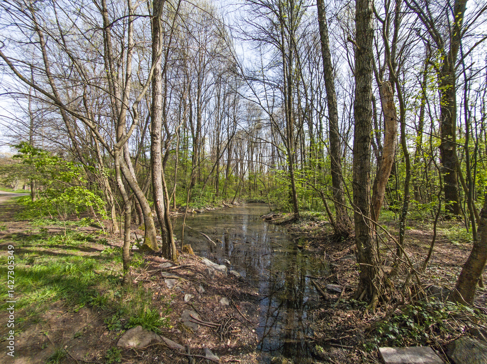 Spring Landscape of South Park in city of Sofia, Bulgaria