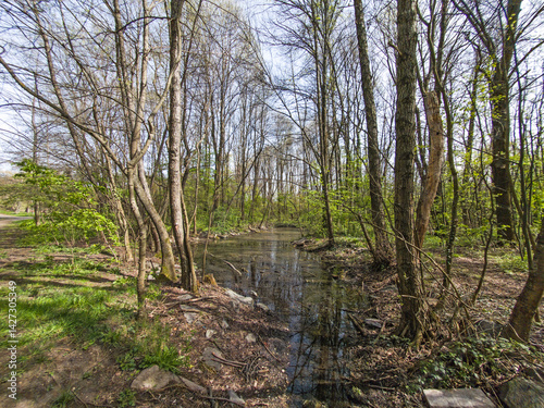 Obraz na płótnie Spring Landscape of South Park in city of Sofia, Bulgaria w salonie