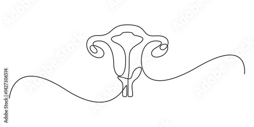 Continuous one line drawing of women's Uterus and Ovary. Single line Female reproductive system uterus vector illustration. Isolated on white background. Vector illustration