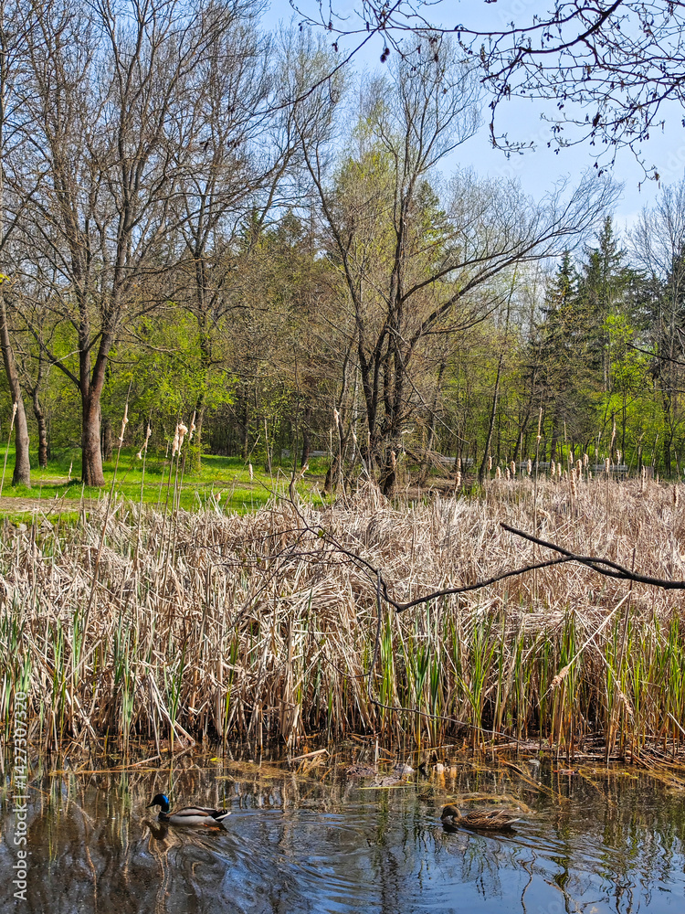 Spring Landscape of South Park in city of Sofia, Bulgaria