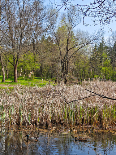 Obraz na płótnie Spring Landscape of South Park in city of Sofia, Bulgaria w salonie