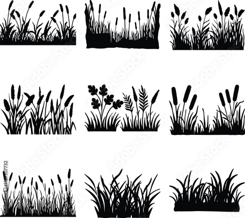 Silhouettes of Wild Grasses and Plants