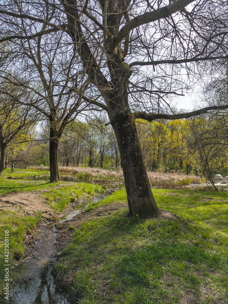 Spring Landscape of South Park in city of Sofia, Bulgaria