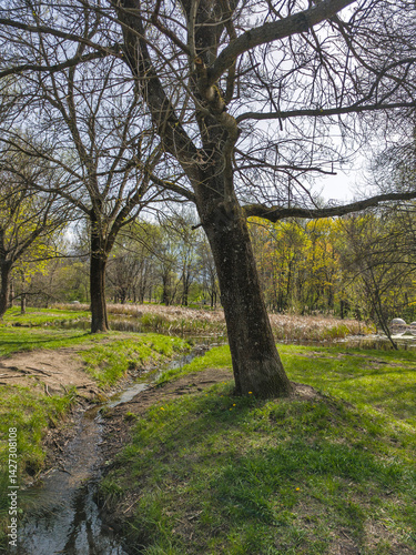 Obraz na płótnie Spring Landscape of South Park in city of Sofia, Bulgaria w salonie