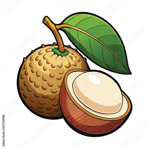 Tropical fruit illustration (1)