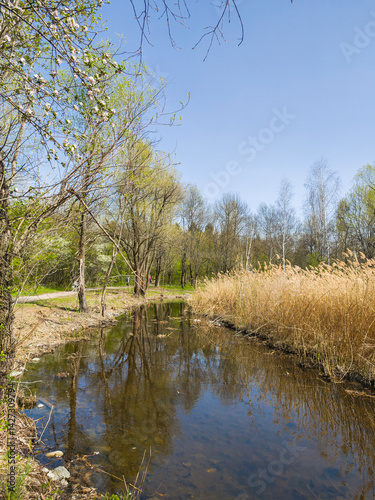 Obraz na płótnie Spring Landscape of South Park in city of Sofia, Bulgaria w salonie