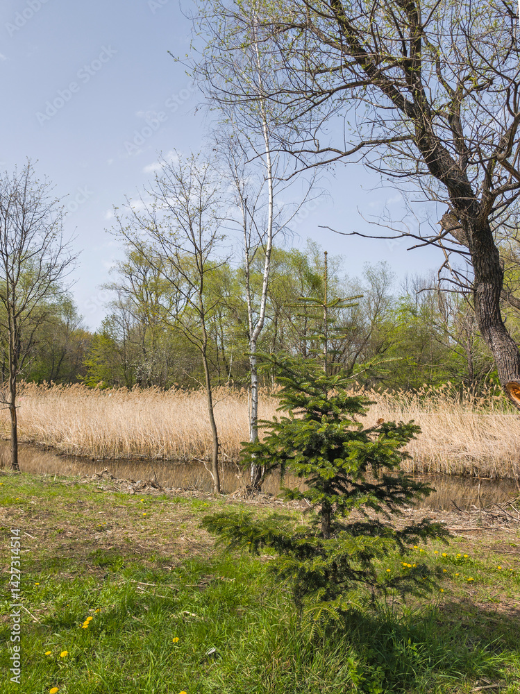 Spring Landscape of South Park in city of Sofia, Bulgaria
