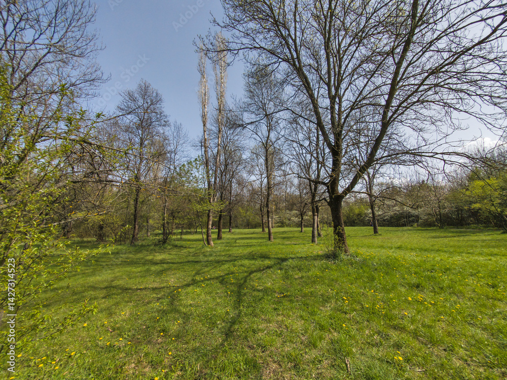 Spring Landscape of South Park in city of Sofia, Bulgaria