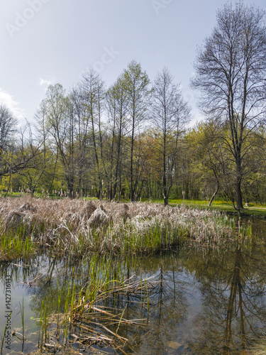 Obraz na płótnie Spring Landscape of South Park in city of Sofia, Bulgaria w salonie