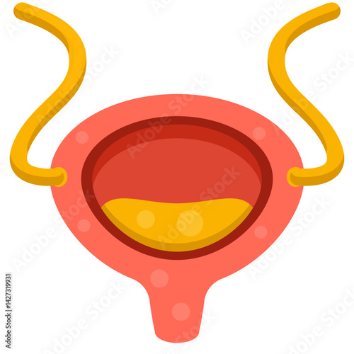 Bladder icon