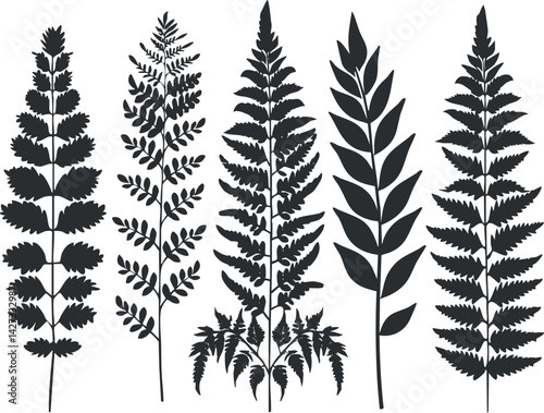 Collection of black silhouette ferns and leaves showcasing botanical beauty and diversity.