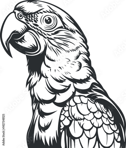 Stylized black and white illustration of a parrot showcasing its detailed features and feathers