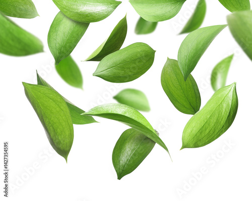 Many fresh green leaves flying on white background