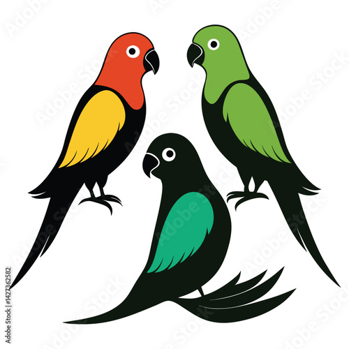 Conure birds set isolated shilhotee vector on white background