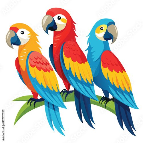 Macaw birds set isolated shilhotee vector on white background