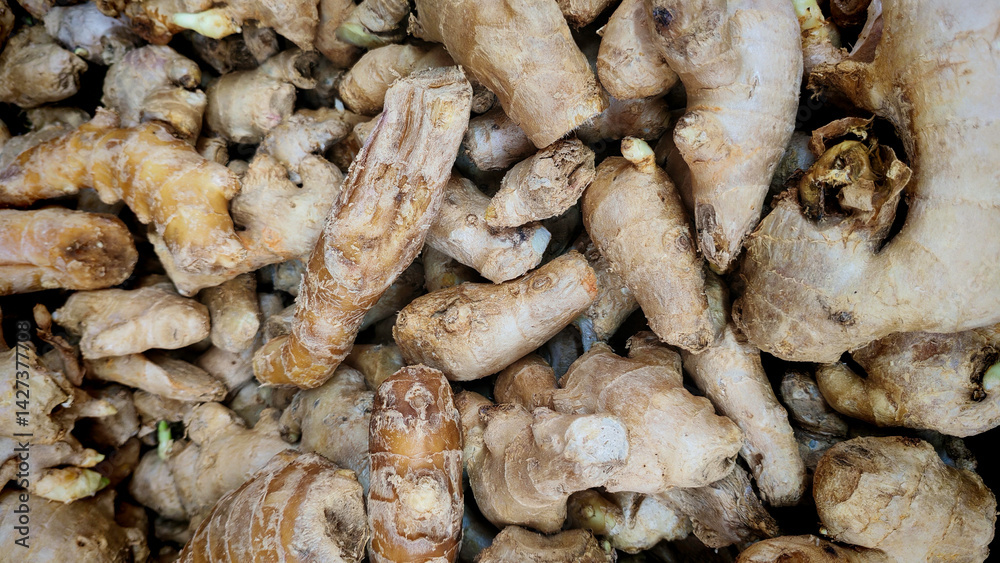 Fresh Ginger Roots Close-Up Fresh Ginger Roots Close-Up