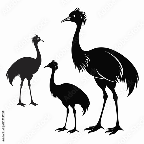 Emu birds set isolated shilhotee vector on white background