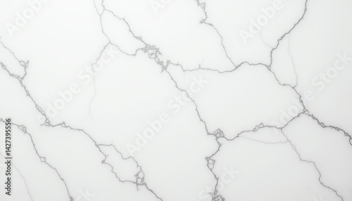 Elegant white marble texture with gray veins.