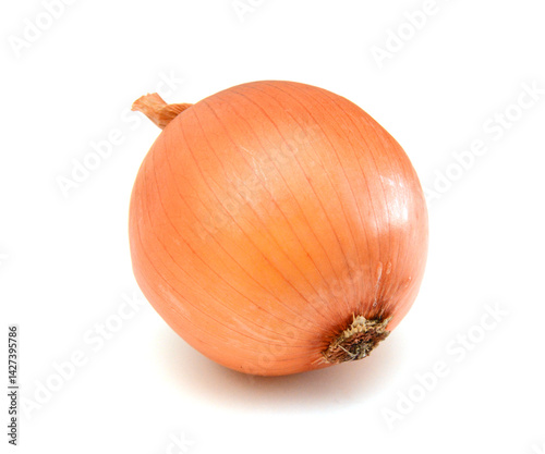 Wallpaper Mural Ripe onion on a white background Torontodigital.ca