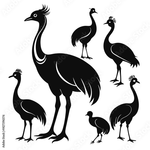 Emu birds set isolated shilhotee vector on white background
