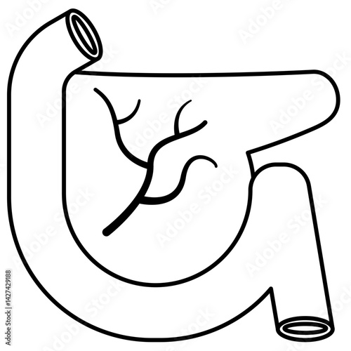 Pancreas icon
