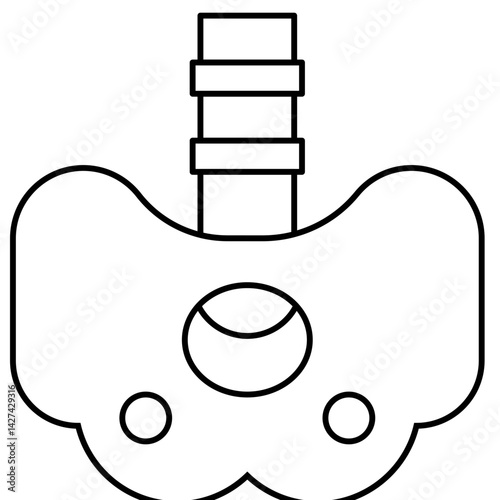 Pelvis icon