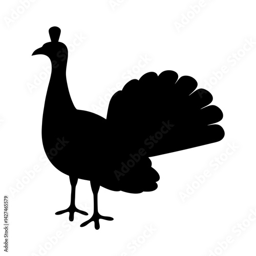 Majestic peacock silhouette displaying its vibrant and beautiful plumage gracefully posing