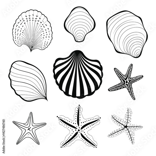 Simple Black Line Seashell Icon Set for Beach Decor