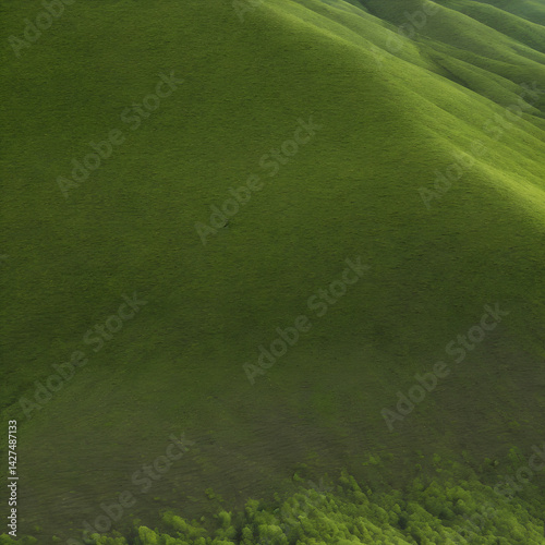 green grass field